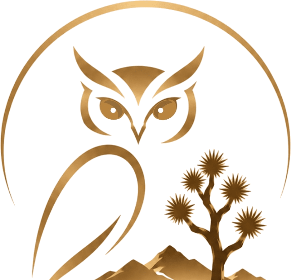 Owl Vision Agency