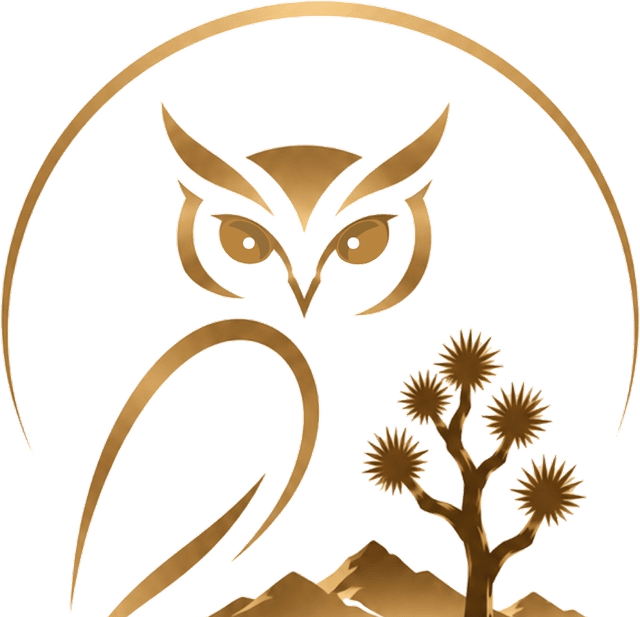 Owl Vision Agency